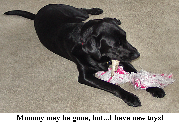 Dixie Plays